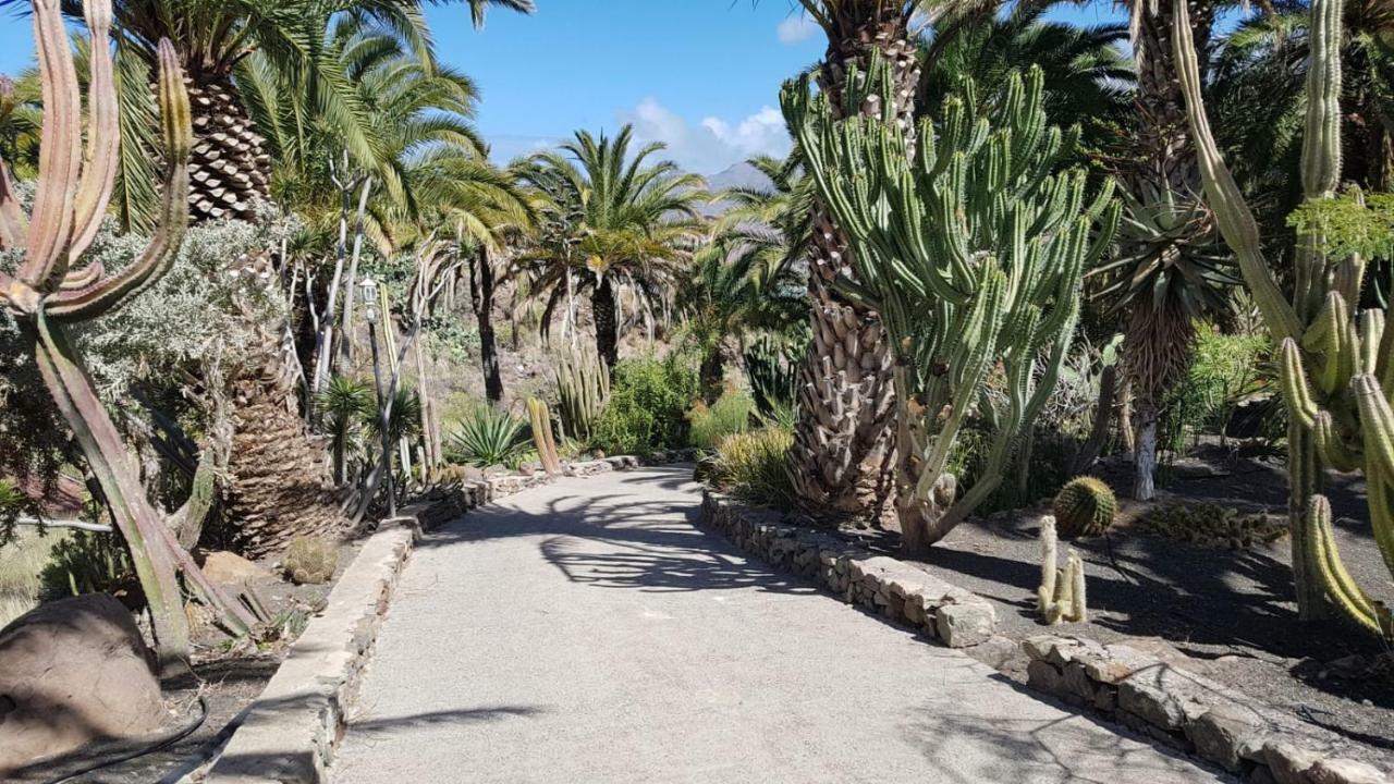 Villa De Cactualdea San Nicolas Екстер'єр фото