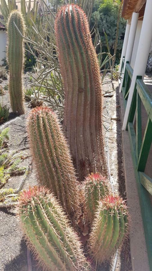 Villa De Cactualdea San Nicolas Екстер'єр фото